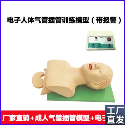 电子人体气管插管训练模型(带牙齿受压报警)口腔鼻腔X气管插管训
