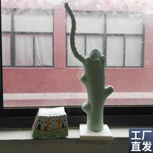 水螅解剖模型教学模型