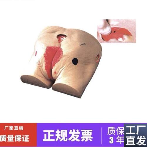 褥疮护理模型高级老年人褥疮压疮护理模型医S学用教学模型教具