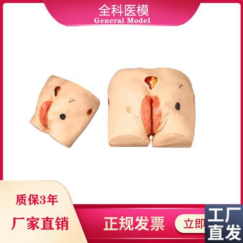 高级压疮(褥疮l)护理模型操作练习训练医学教学臀部模型
