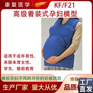 高级着装 孕妇模型穿戴r体验怀孕孕妇妊娠模型F21四步触诊法护理 式