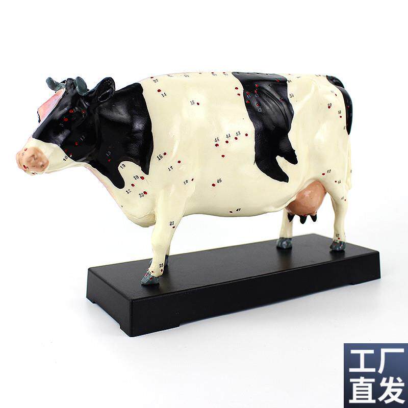 ENOVO颐诺牛针灸穴位模型物解剖模型J宠物模型生物畜牧教学针灸