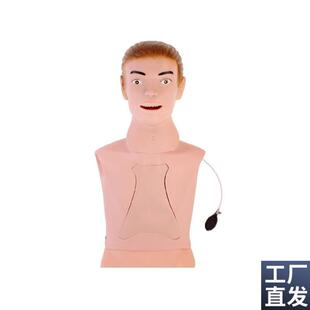 高级鼻胃管f与气管护理模型鼻饲管洗胃教学训练模具