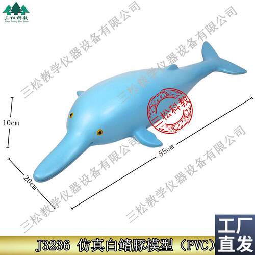 J3236高仿真白m鳍豚海豚模型幼儿儿童小学科学教学标本仪器