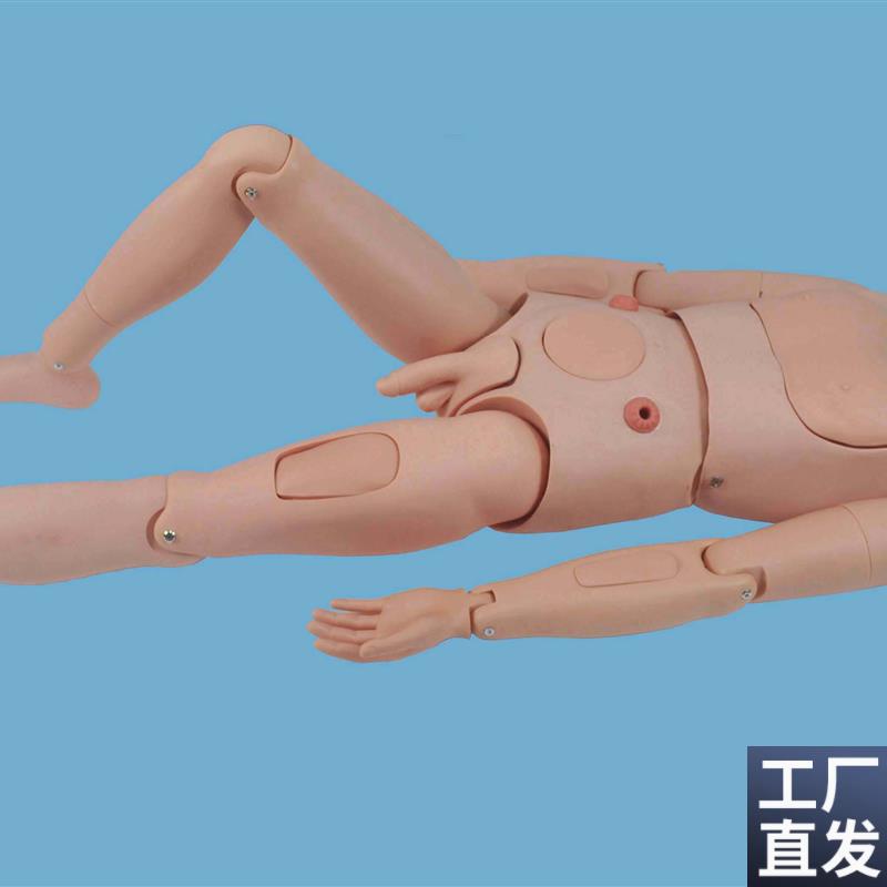 整体护理人模型-恩恩