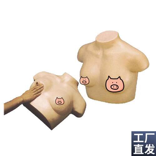 F7B高级l乳腺视诊与触诊模型