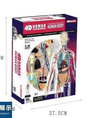 4DMASTER 人体解剖拼装模型 生物教学模型教具 全身透明人
