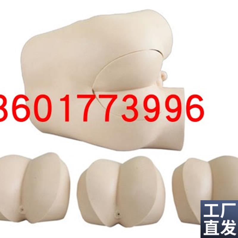 高级直肠指诊g检查示教模型直肠检查模型前列腺触诊模型