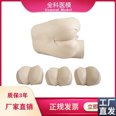 高级直肠指诊检查模型前列腺触诊模型肛门外用S检查诊断诊治模型