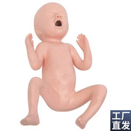 高级24周早产儿模型高级30周F早产儿模型早产儿护理模型