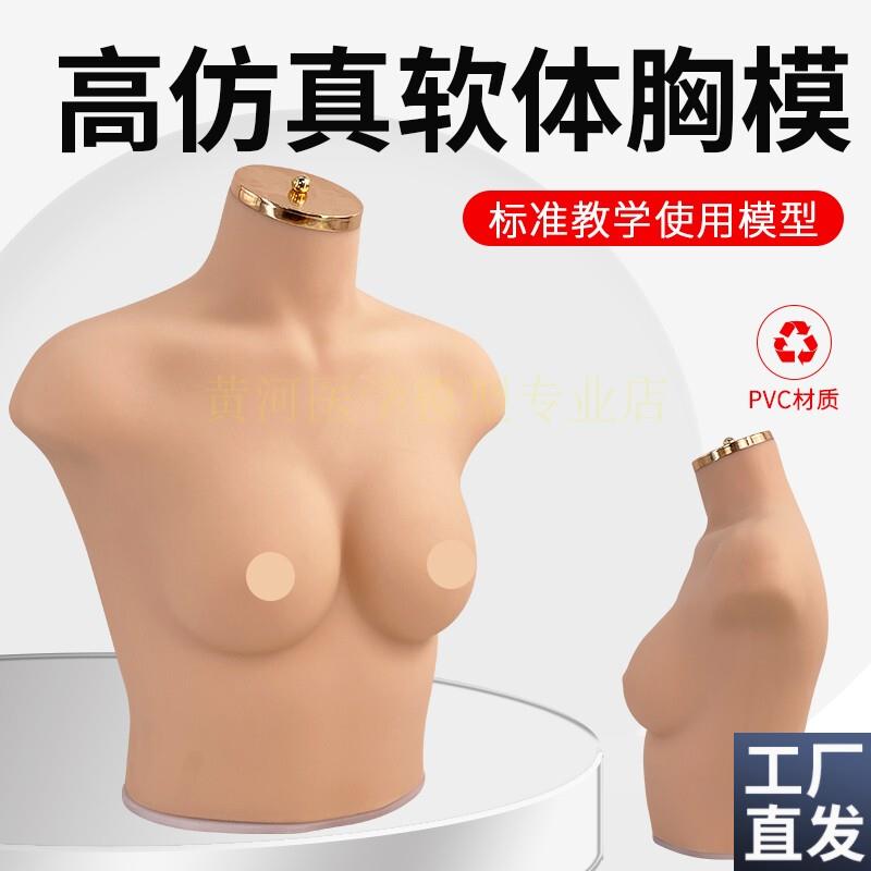 75B/C罩杯内衣模特女胸模软体模特道具仿真人模特内Z衣展示模特