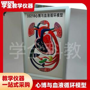 心博与血液循环模型初k高中生物实验室心脏工作装置电动式心博