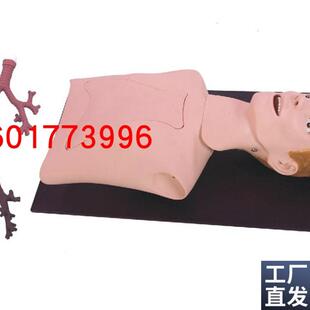 支气管内窥镜训练模型内窥D镜检查模型窥镜检查模型