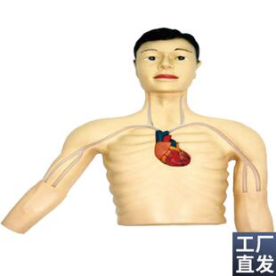 PICC介入模型佳悦医学模N型JY/L69E