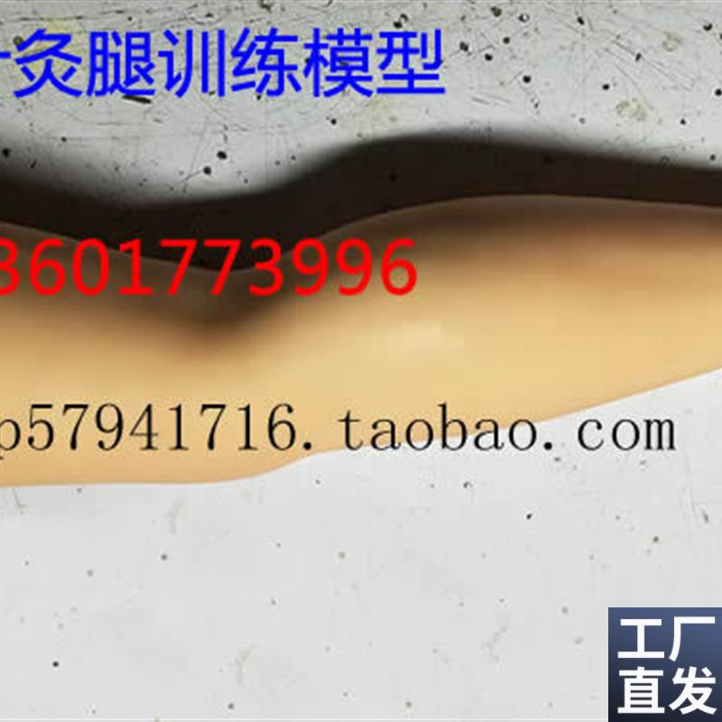 针灸腿训练模型针刺大腿训练模C型成人下肢中医针灸练习模型