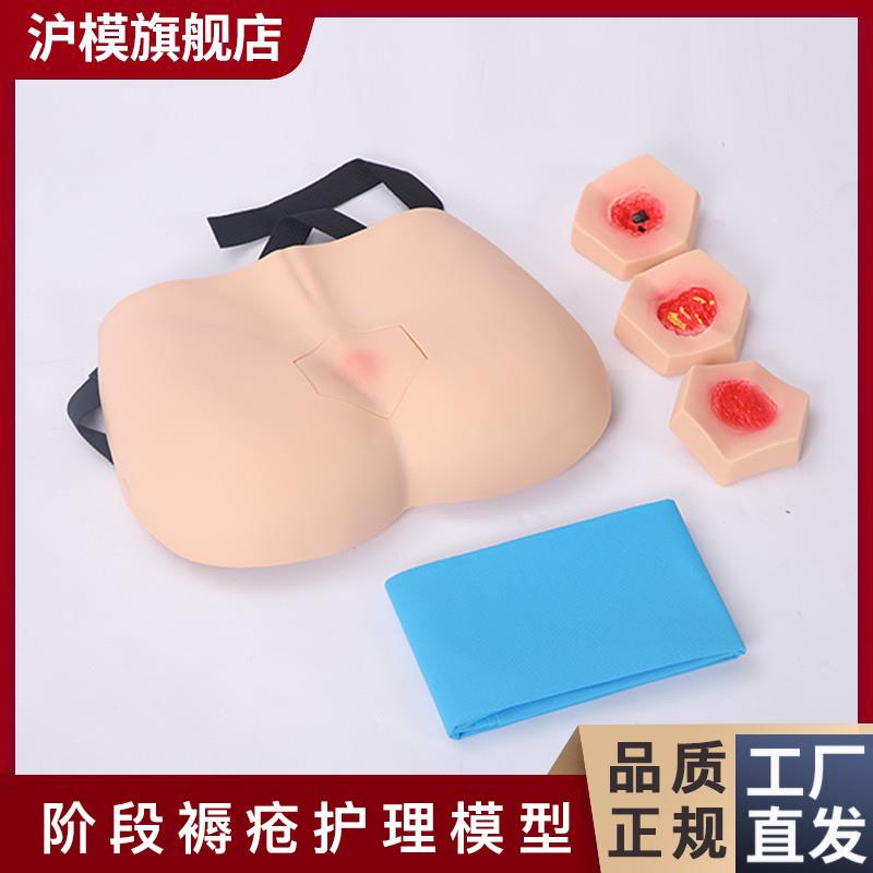 沪模HM/H90F阶段褥疮护理模型成人臀部褥疮F护理模具压疮护理模型