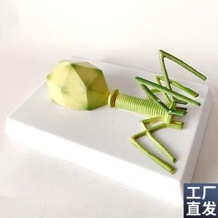 噬菌体模型感染细菌真菌藻类放线菌K螺旋体微生物学校实验
