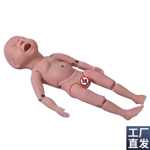 新生儿模型四肢可弯曲新生儿关节可以活P动模型哺乳训练模型