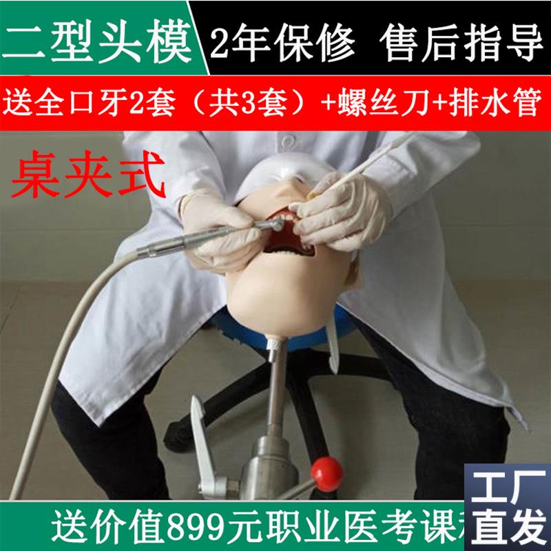 牙科材料口腔器械工具软牙龈备牙根管F种植练习模型离体牙二型头