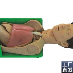 透明洗胃胃肠减压仿真标准化H病人胃肠减压练习模型