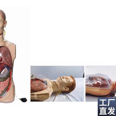 多功能透明洗胃训练模型透明洗胃护理模型上半身鼻U咽通气洗胃模