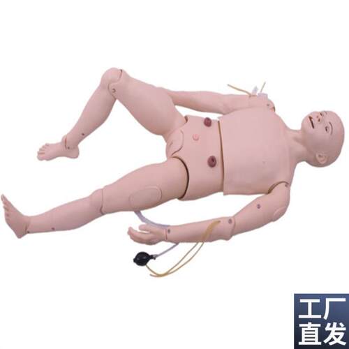 三腔两囊管g操作训练模型GM/LV15