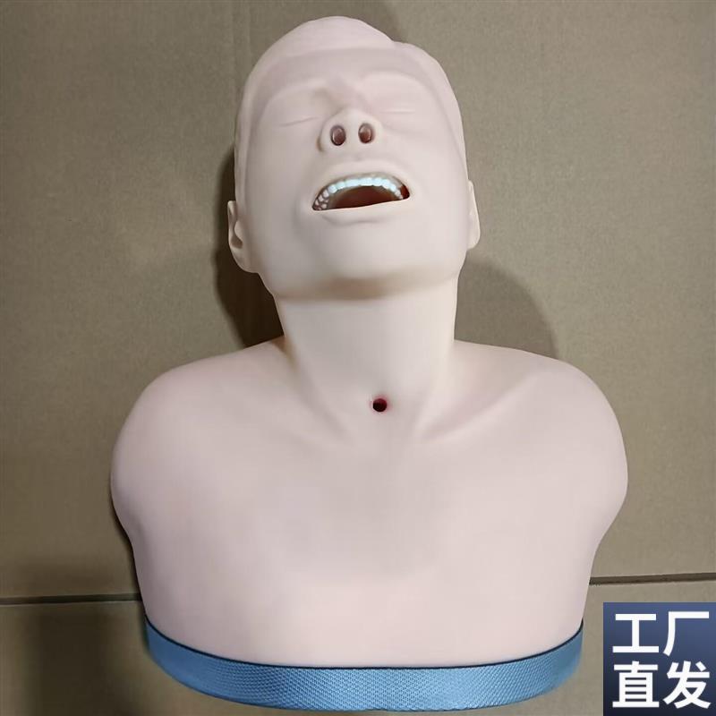 气管切开c护理训练模型成人气管切开吸痰护理模具