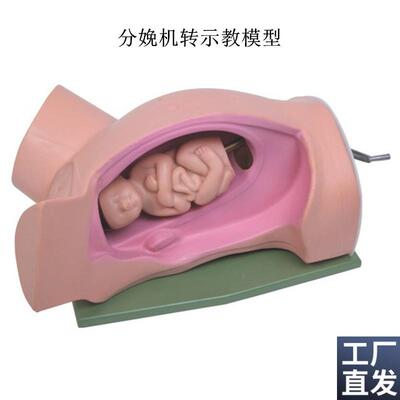 高级分娩机转示教模型妇幼u产科胎儿接生助产演示过程难产护理模