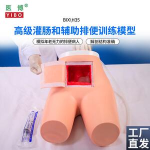 医博BIX-H35高级灌肠模型辅助排便和及灌肠训练习模型医学S用灌肠