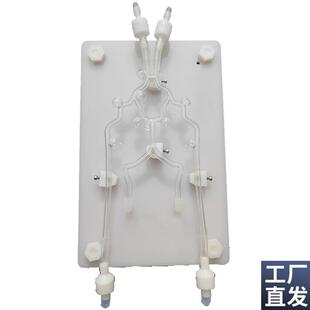 ENOVO颐诺颅内动脉瘤栓塞训练模型脑部血管R介入栓塞手术治疗神