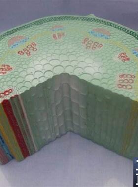 厂家正品双子叶草本植p物茎模型初中高中生物实验器材中学教学仪