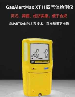 霍尼韦尔BW XT II泵吸式 LEL/O2/CO/H2S四合一检测仪XT-XWHM-Y-CN