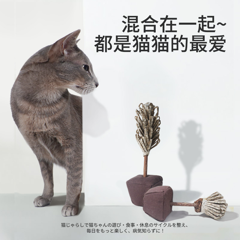 KOJIMA猫玩具天然材质安心可靠
