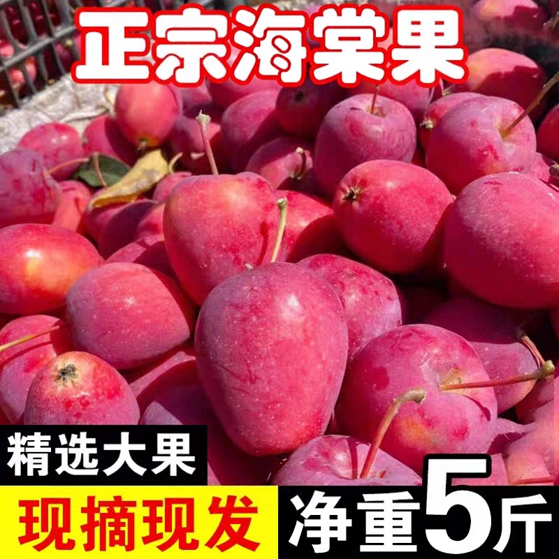 新疆鸡心果香妃海棠果脆甜小苹果苹果
