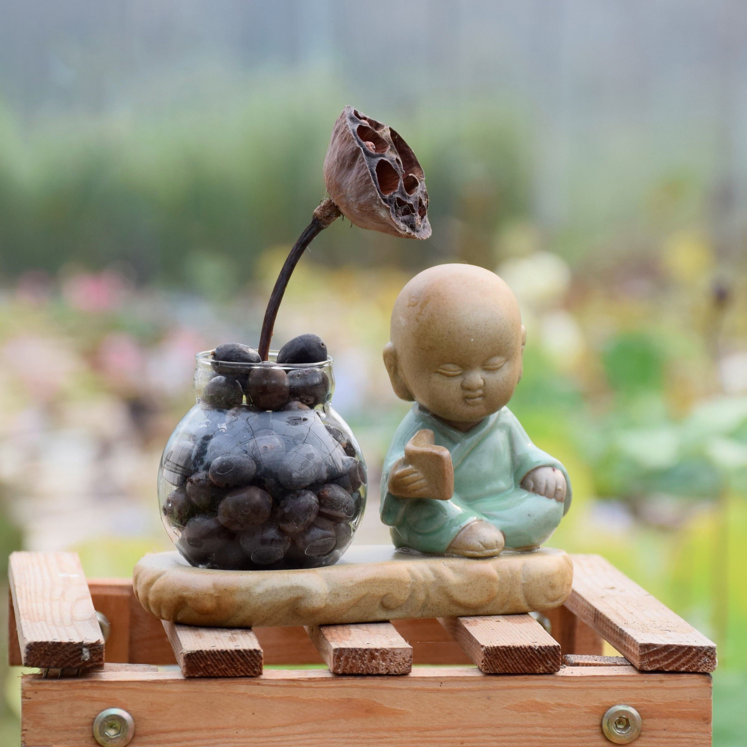 母本莲子（微小中大型莲子）