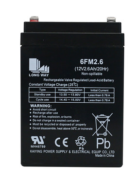 LONG WAY蓄电池6FM2.6(12V2.6AH/20HR)广场舞拉杆音响12伏 小电瓶