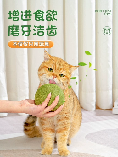 Большая мятная игрушка, прорезыватель, кот, избавление от скуки, домашний питомец