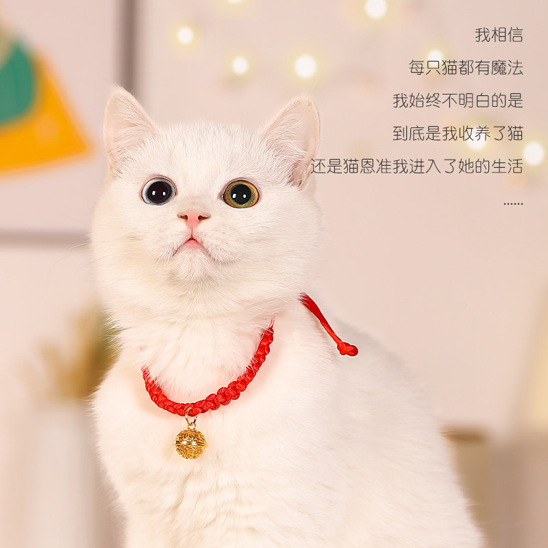 速发装咪项圈脖子饰编手工红绳品织小猫项链幼猫猫饰铃铛