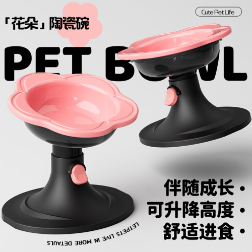 升降陶瓷猫碗满足不同阶段需求