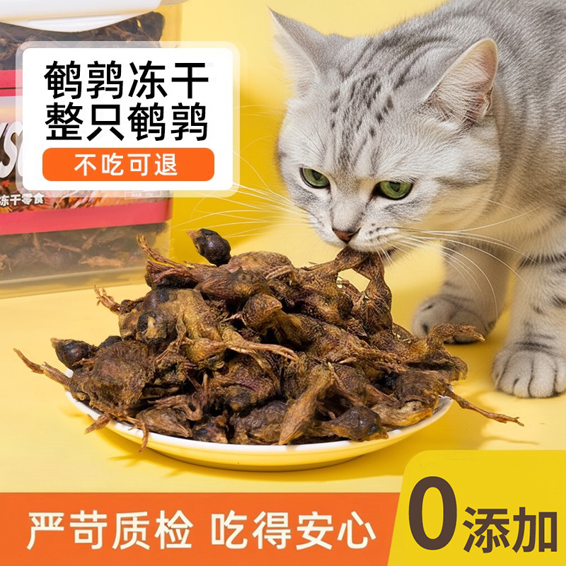 猫咪零食营养发腮磨牙冻干鹌鹑