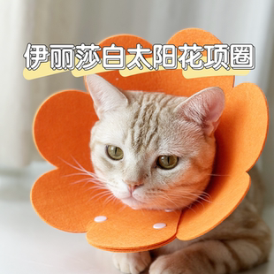 伊丽莎白圈猫咪绝育项圈伊利沙白圈防舔颈圈头套狗狗脖圈宠物用品