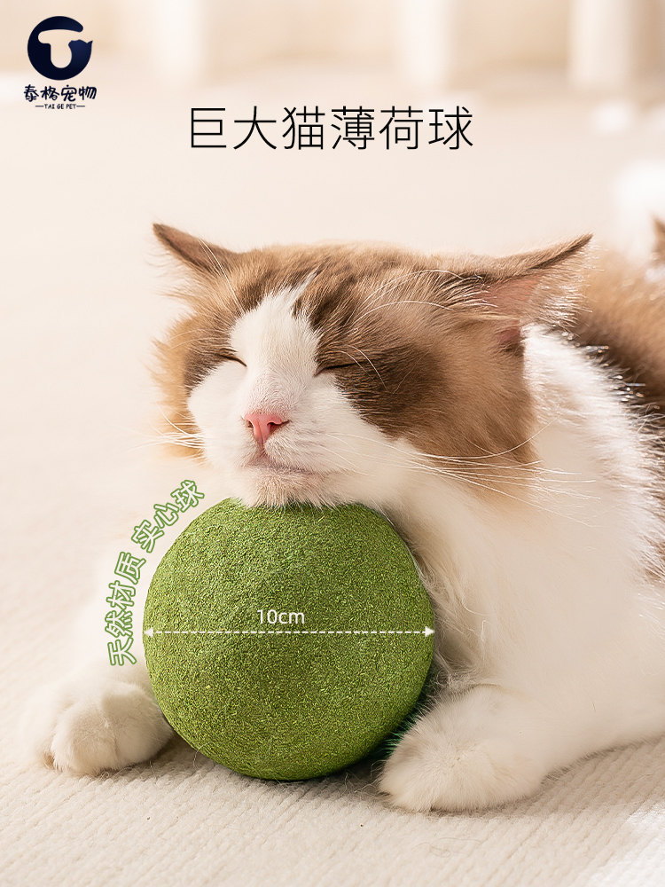 猫玩具高纯度猫薄荷球超大猫咪自嗨神器小猫逗猫棒宠物用品磨牙棒