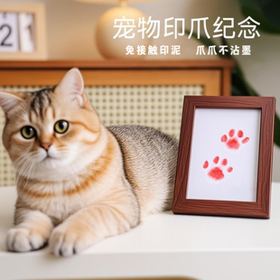 宠物爪印纪念相框定制手印掌印脚印爪子印猫咪狗狗免洗墨印印泥