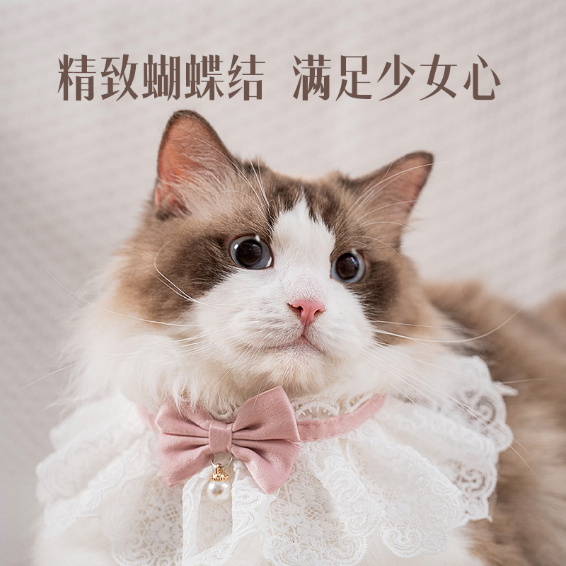 猫咪夏季薄款衣服蕾丝围脖口水巾