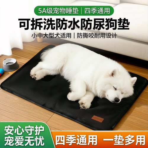 专为拆家犬设计，拒绝一次性狗垫