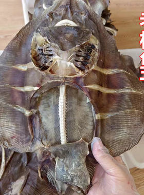 青岛淡晒特色老板鱼干