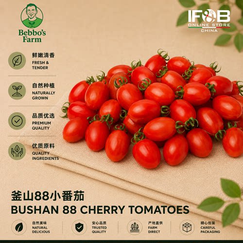 釜山88小番茄 1.5kg Bushan 88 Cherry Tomatoes