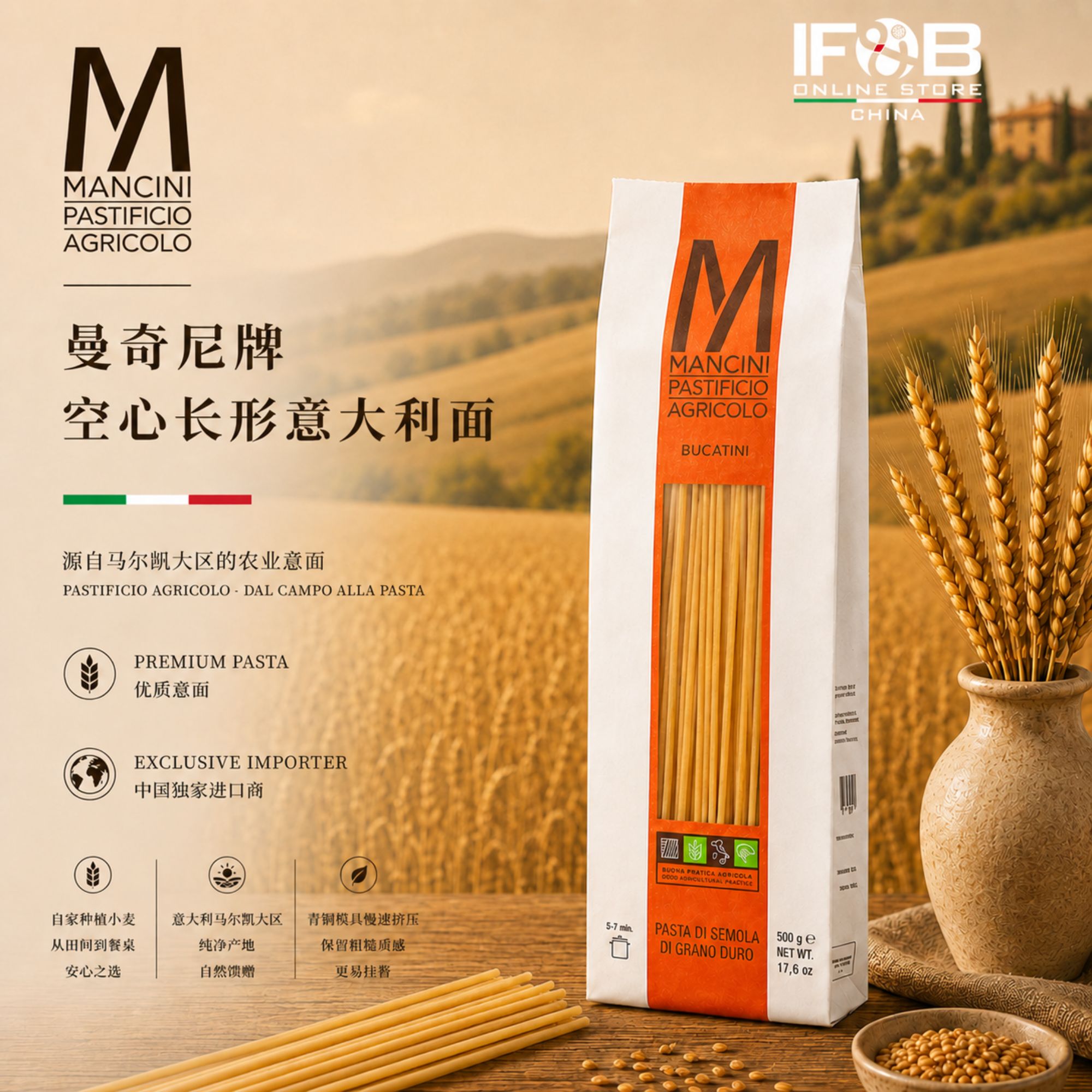 曼奇尼牌空心长形意大利面 1公意大利面