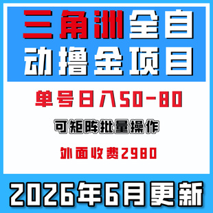 三角洲游戏全自动挂机撸收益可批量放大副业赚钱项目网络搬砖