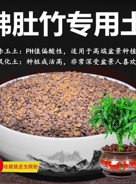佛肚竹罗汉竹专用土赤玉土风化土